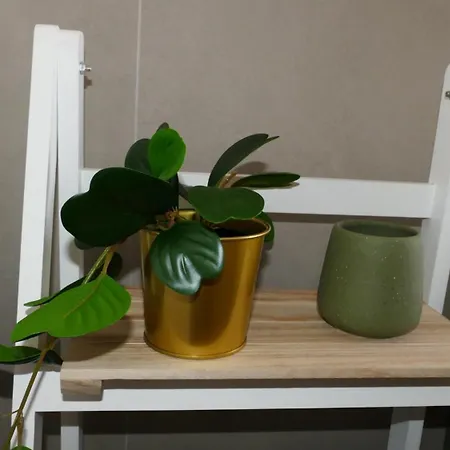 Blue Lagoon * コスタ・カルマ